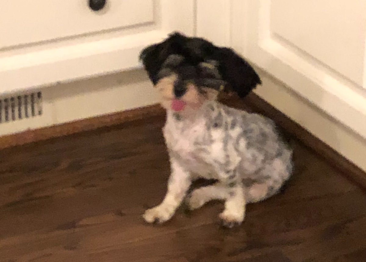 Media from tweet 1314256414299230209