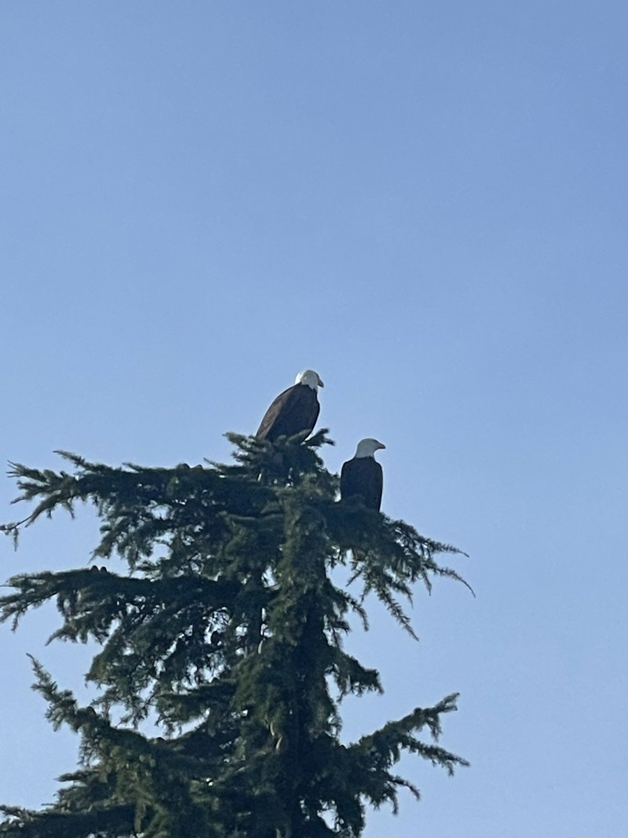 Media from tweet 1357175886919856130