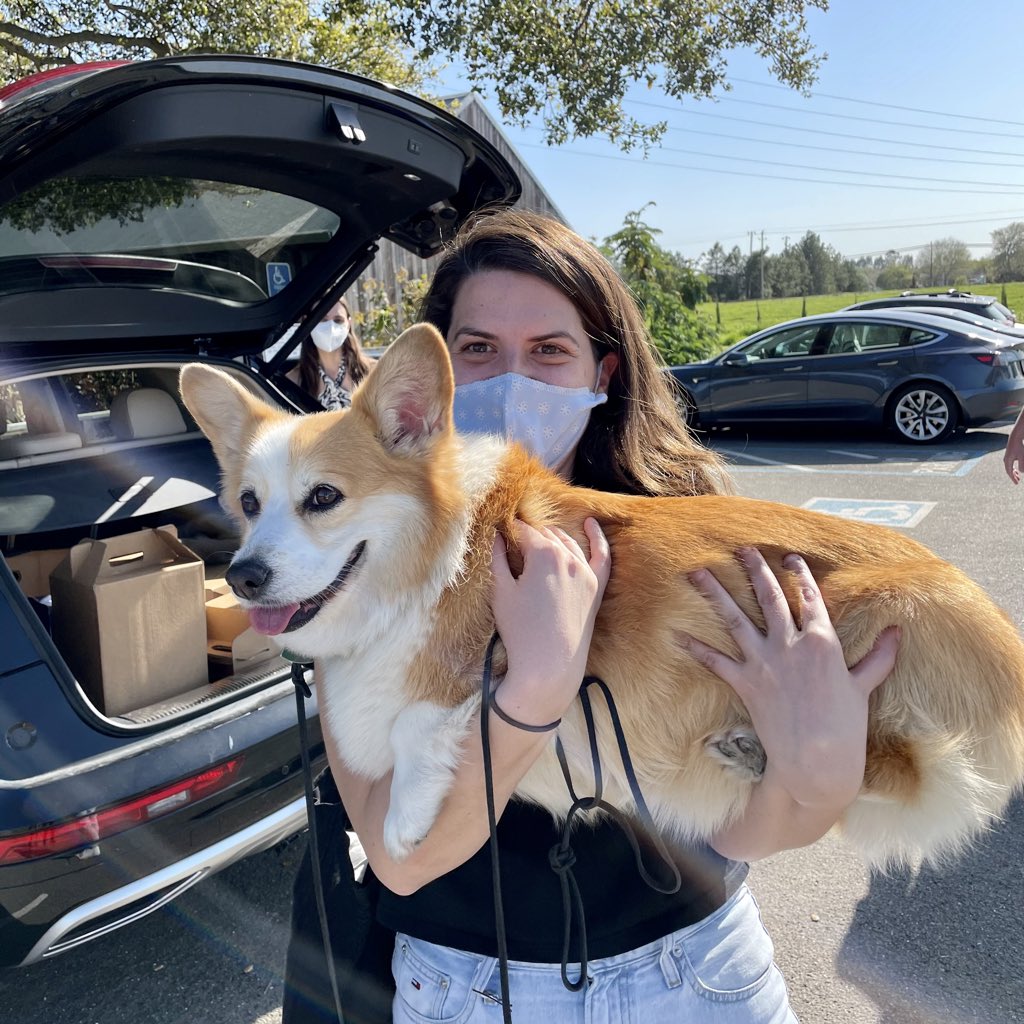 Media from tweet 1407153355969884164