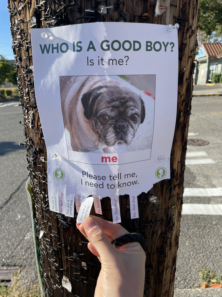 Media from tweet 1433821085120667649