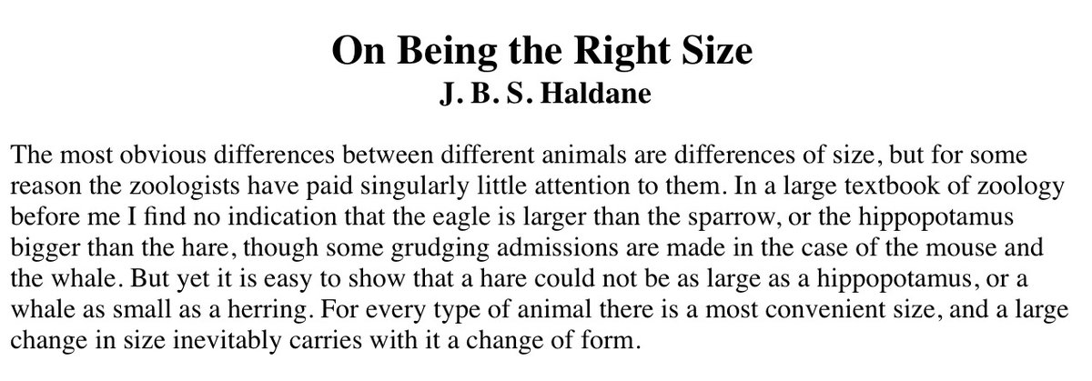 Media from tweet 1456340749247713287