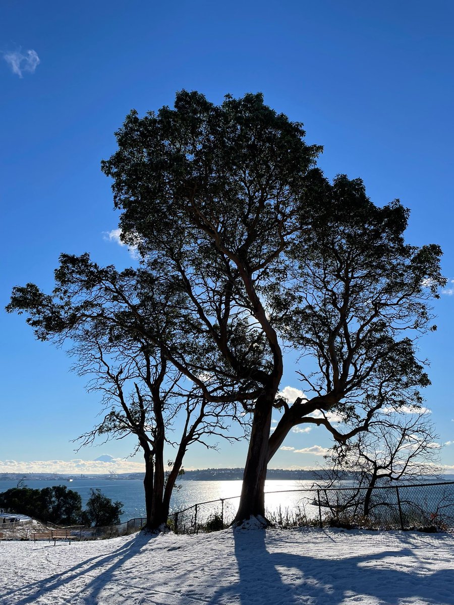 Media from tweet 1499634033000529921