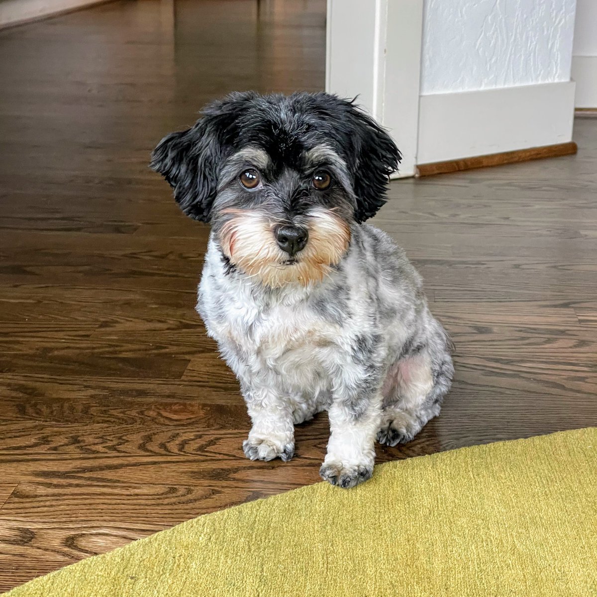 Media from tweet 1530315076523003904