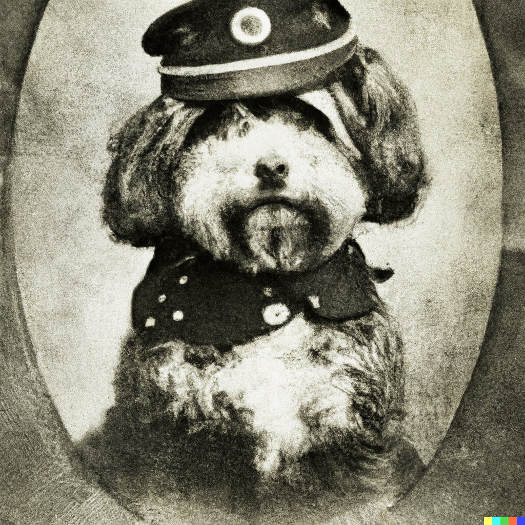 Media from tweet 1530315077689102336