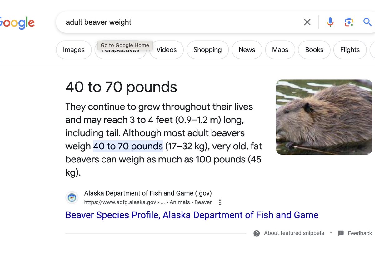 Media from tweet 1747338684259766624