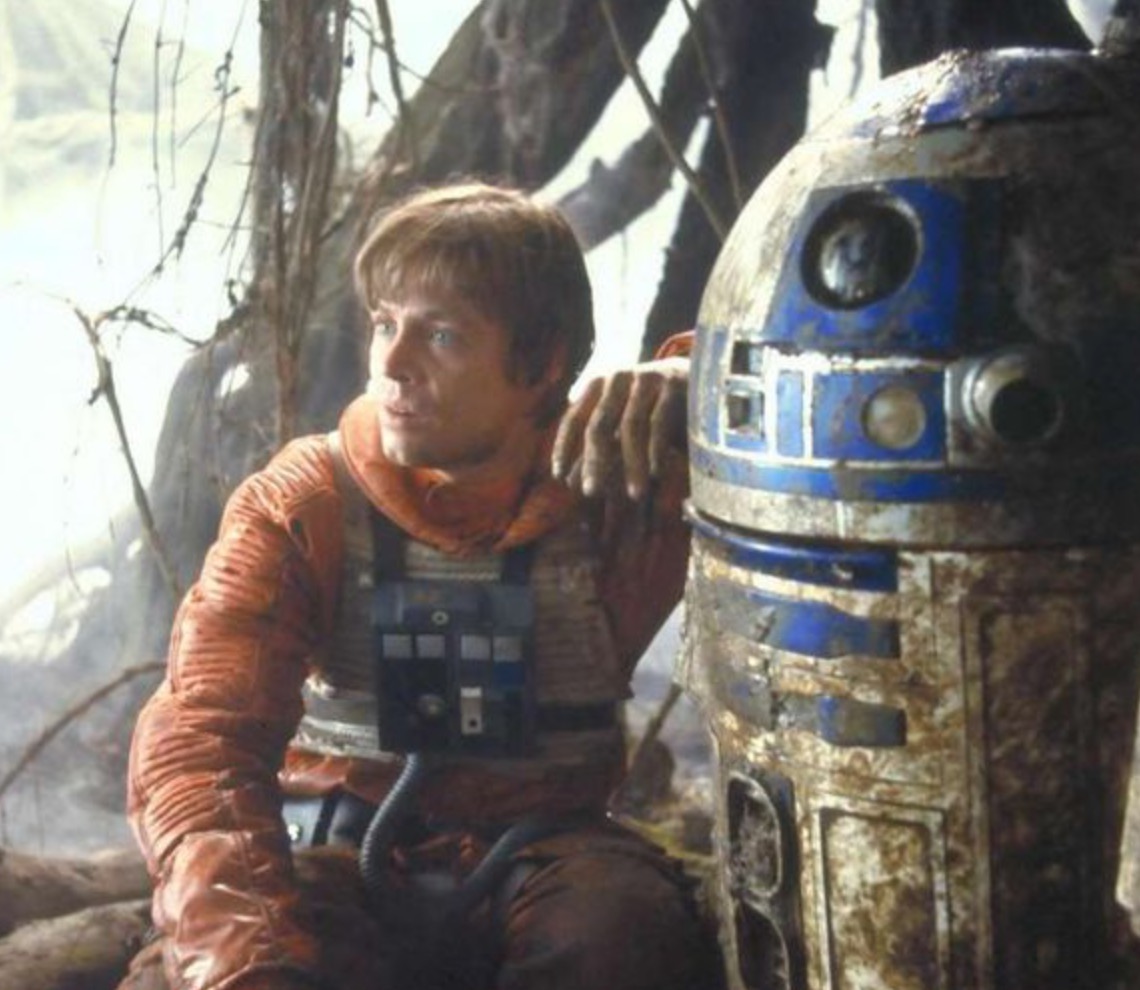 Media from tweet 1823785352756334786